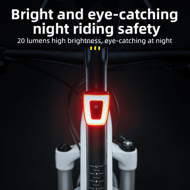 ROCKBROS Bicycle Helmet USB Rechargeable LED Super Bright Warning Rear Light - ROCKBROS