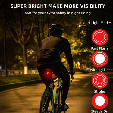 ROCKBROS Bike Tail Light Smart USB Rechargeable IPX6 Waterproof - ROCKBROS